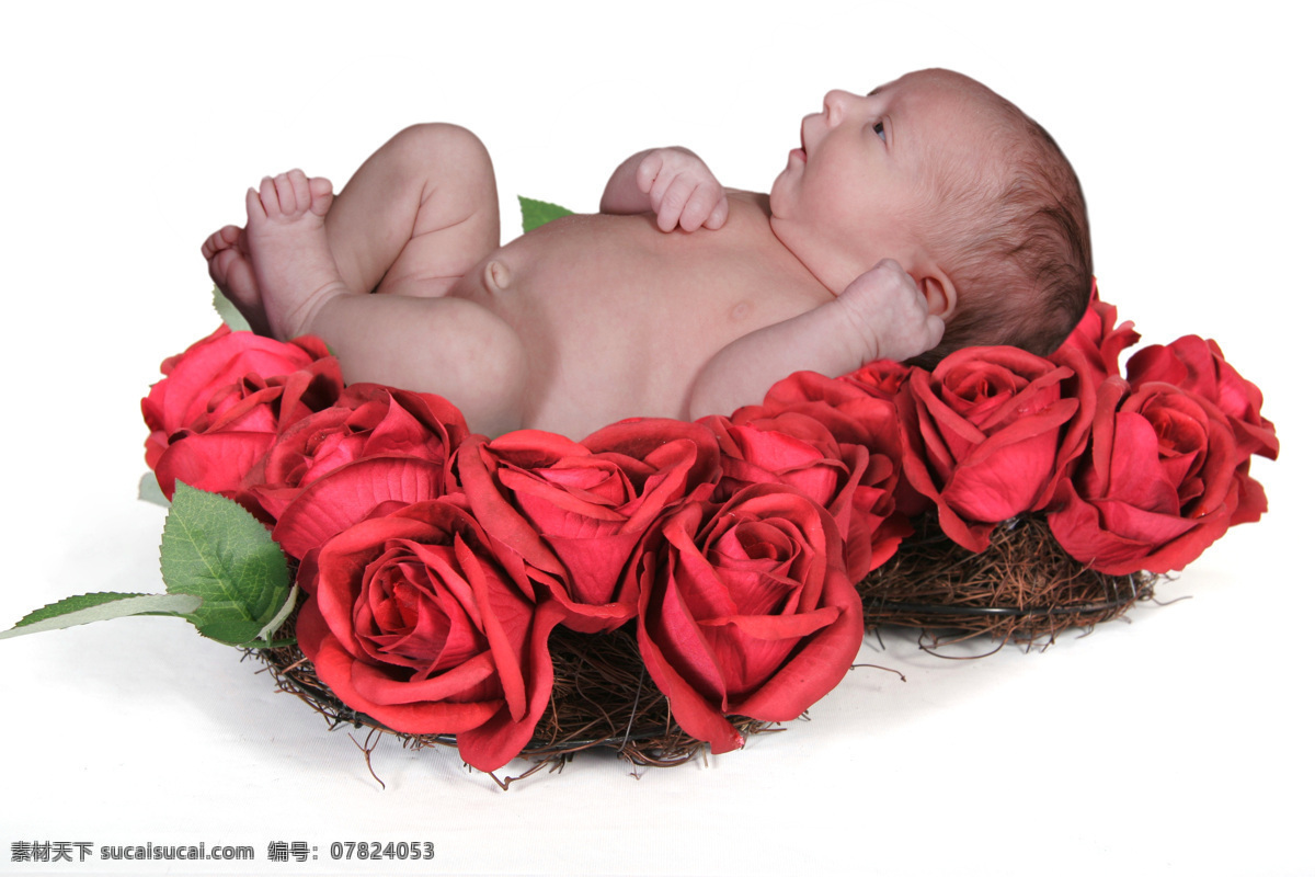 睡 玫瑰花 巢 上 可爱 宝宝 儿童 婴儿 幼儿 健康宝宝 花巢 熟睡 睡觉 躺着 摄影图 高清图片 宝宝图片 人物图片