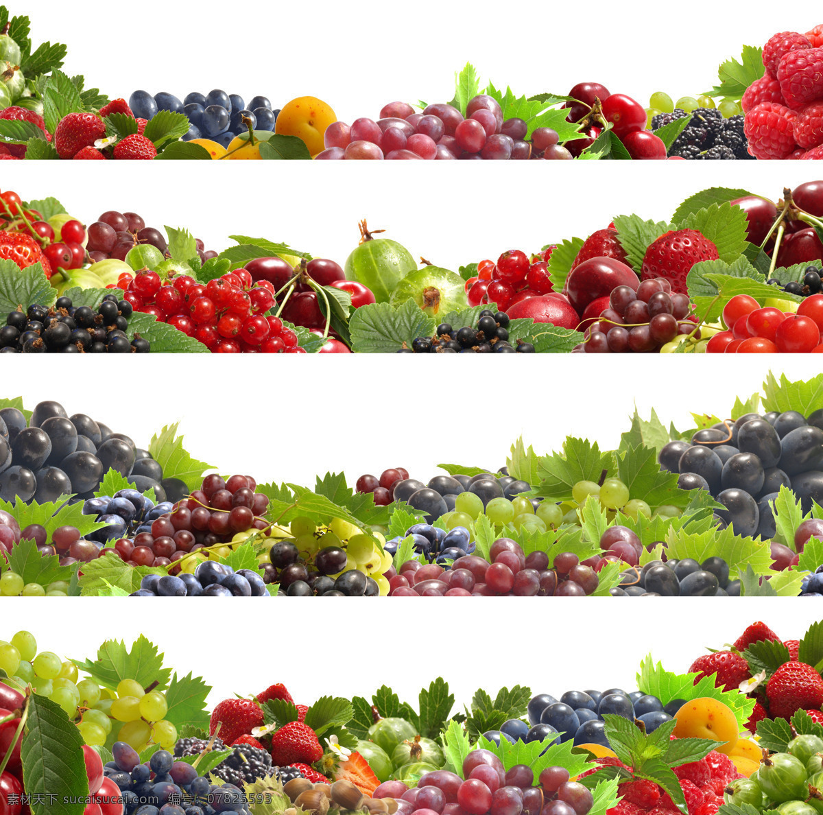 水果 背景 新鲜水果 果实 水果背景 边框背景 葡萄 草莓 山楂 覆盆子 水果图片 餐饮美食