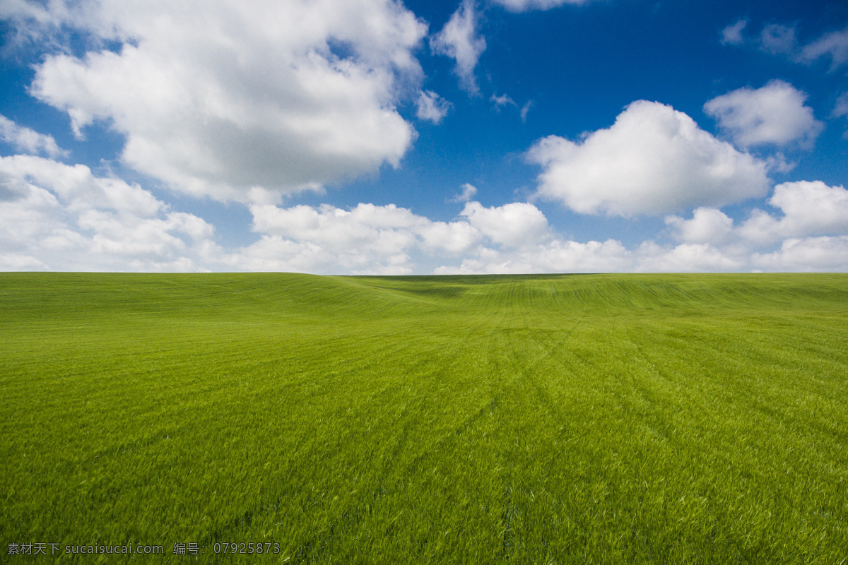 一望无际 大 草原 大草原 蓝天 白云 天空 绿色 美丽 惊艳 素材天下 自然景观 自然风景