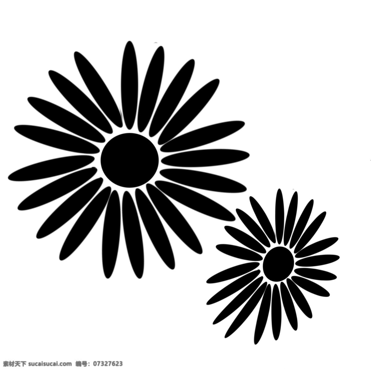 两 朵 漂亮 黑色 花 向日葵花 两朵花 漂亮的花 黑色花 黑色花朵 两朵黑色花 太阳花 黑色太阳花