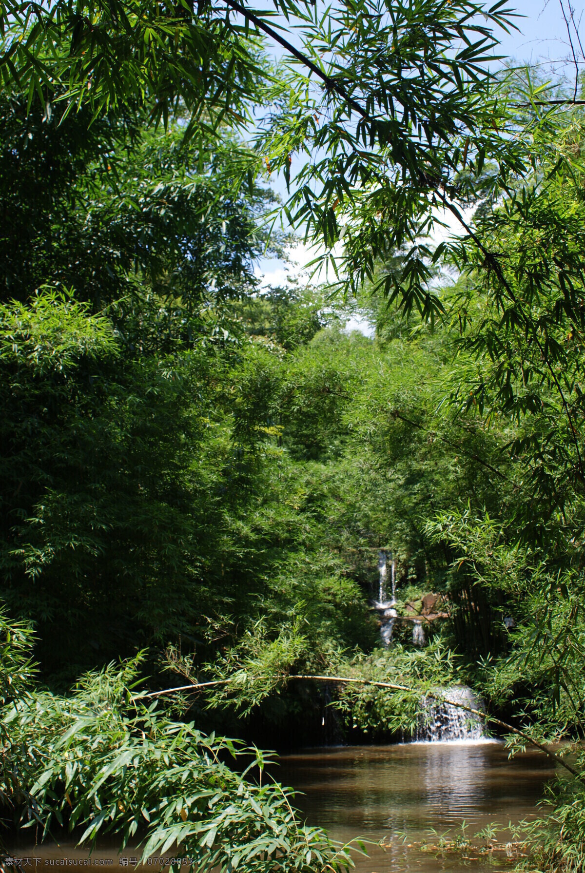 竹海 流水生财 流水 生财 水 瀑布 竹子 竹 绿叶 植物 风景 石头 石山 绿水 山水 青山 蓝天 自然风景 自然景观