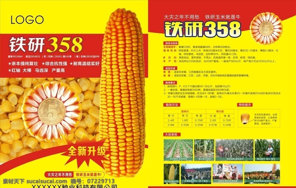 玉米单页 玉米 单页 宣传 农业