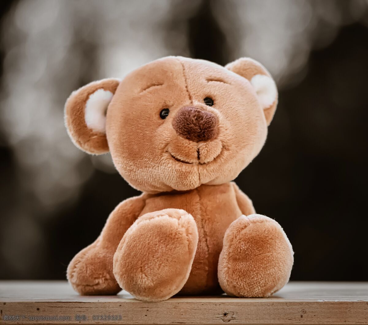 小熊玩偶 泰迪熊 毛绒动物 滑稽 玩具 玩具熊 毛绒玩具 儿童 可爱 熊 甜 毛绒 孩子 背景 元素 壁纸