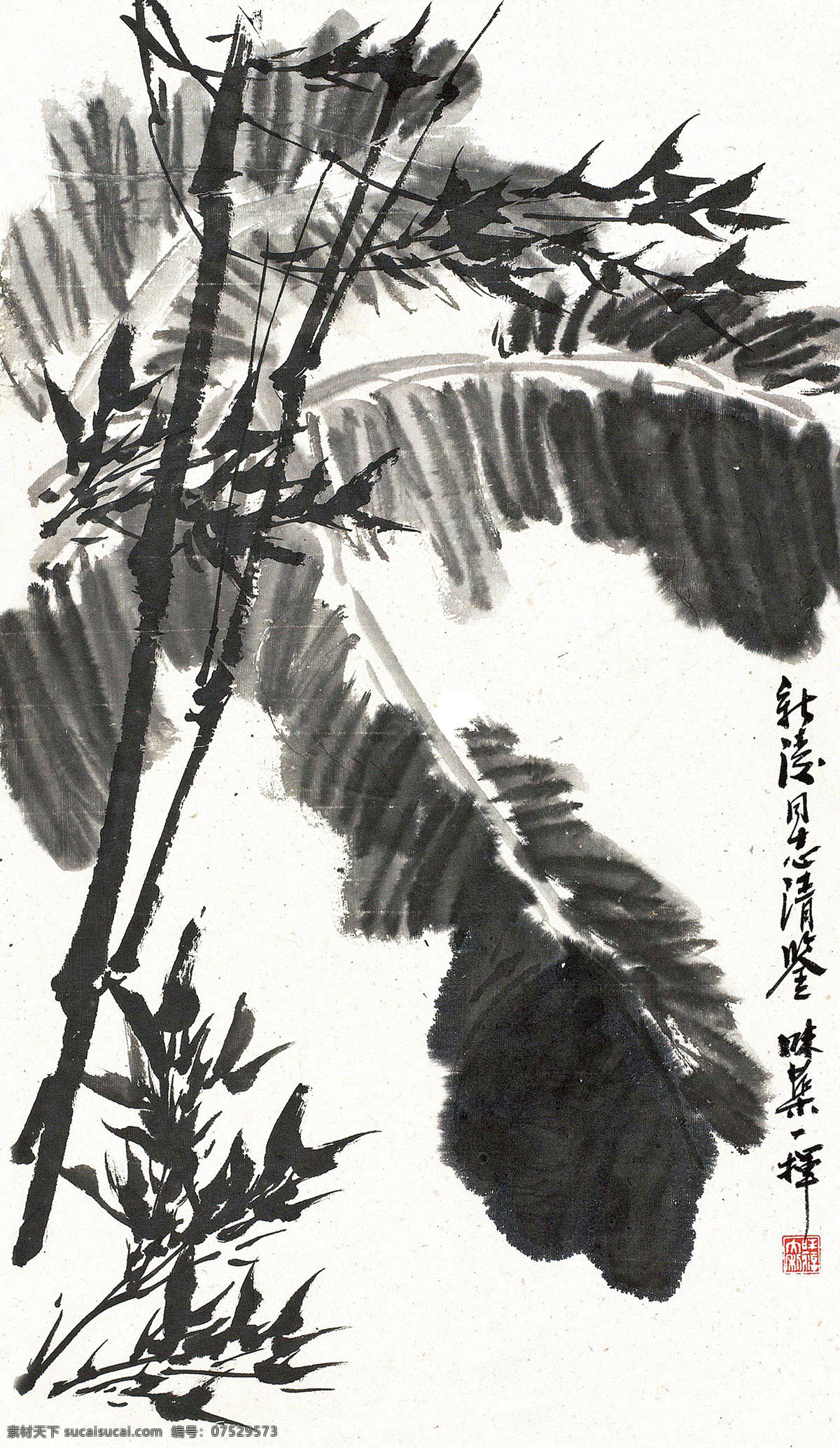 芭蕉新竹 美术 中国画 水墨画 植物 竹子 蕉叶 国画艺术 国画集94 绘画书法 文化艺术