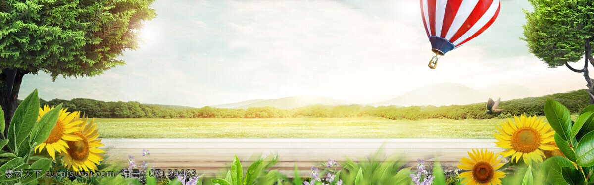 清新 向日葵 banner 背景 绿色大树 田野