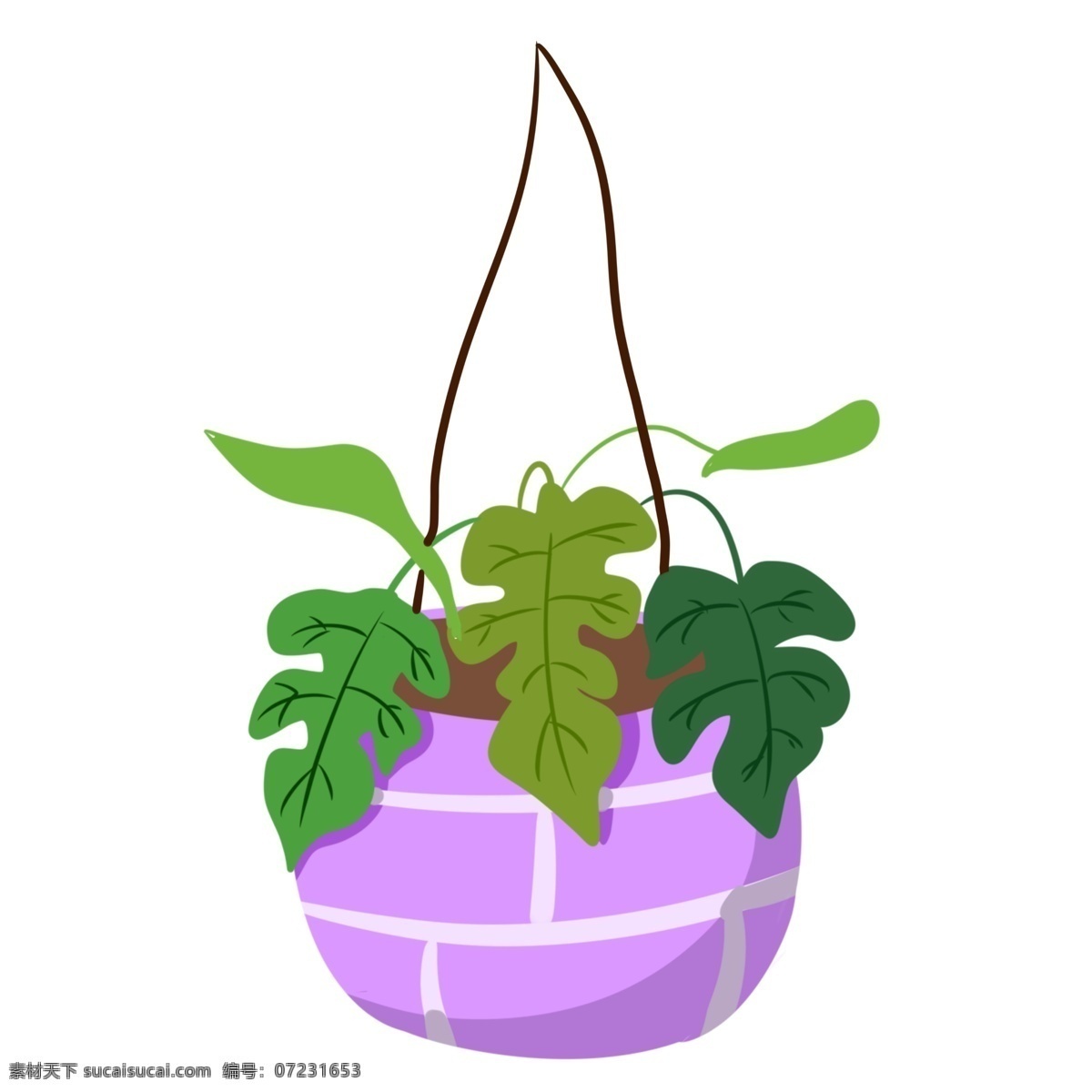 粉色 绿色植物 插画 粉色的花盆 卡通插画 盆栽插画 绿植插画 植物插画 绿色插画 垂吊的叶子