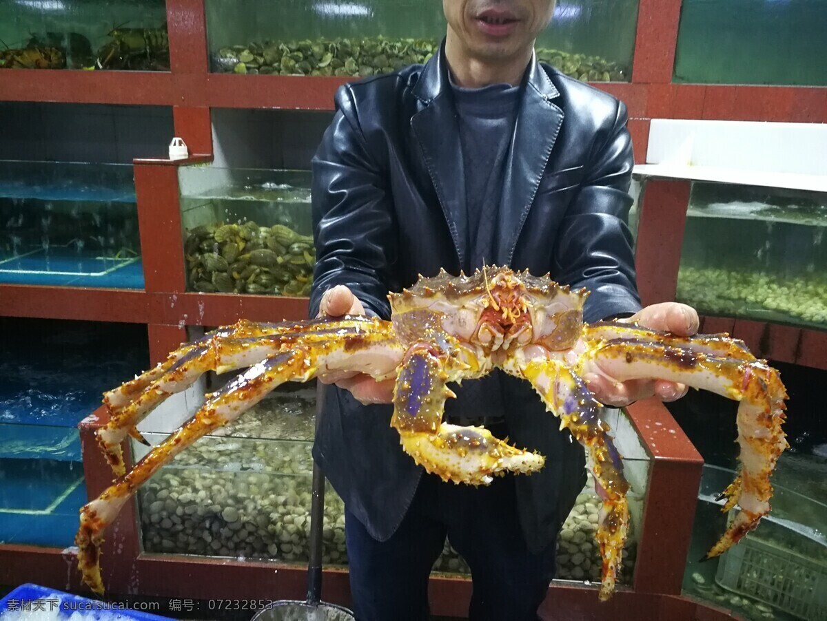 帝王蟹 鲜活 海鲜 水产 美味 生物世界 海洋生物