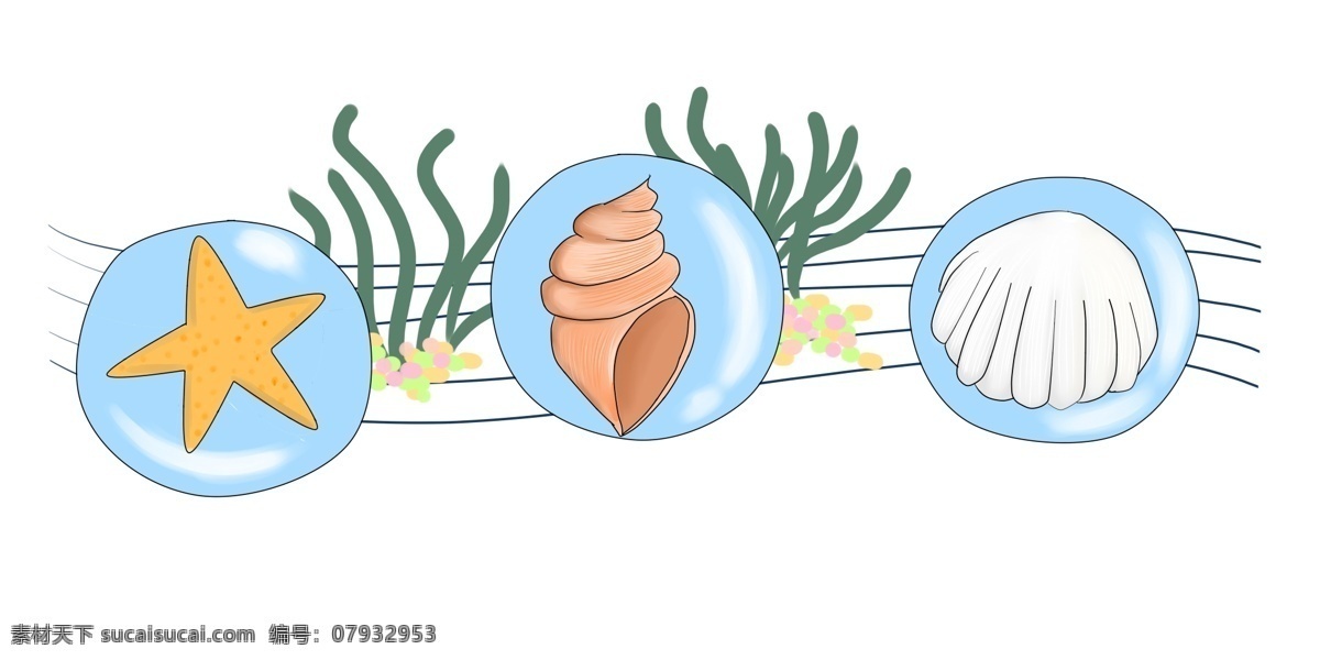 海洋生物 分割线 插画 海洋分割线 植物分割线 海星分割线 田螺分割线 贝壳分割线 分割线装饰