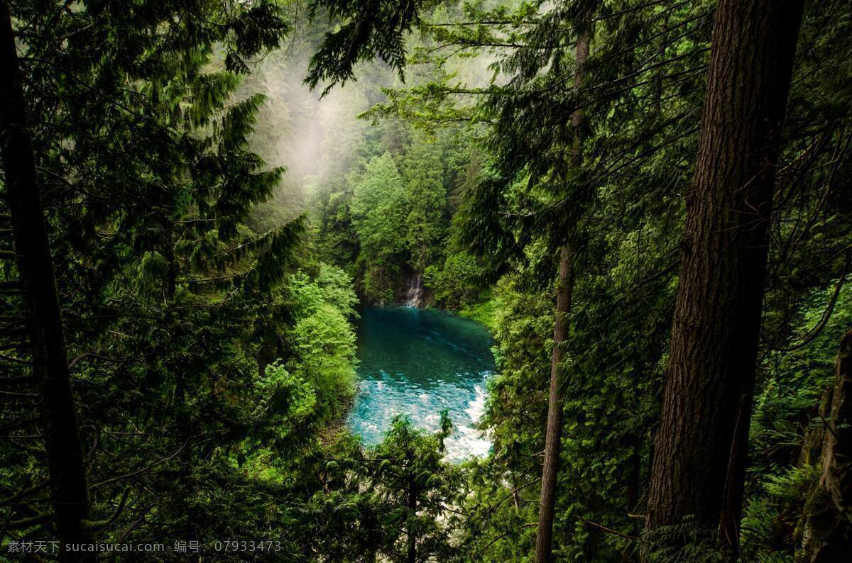 自然树林 森林 自然 树林 雾林 深山老林 神秘树林 雾气缭绕树林 山林 旅游摄影 自然风景