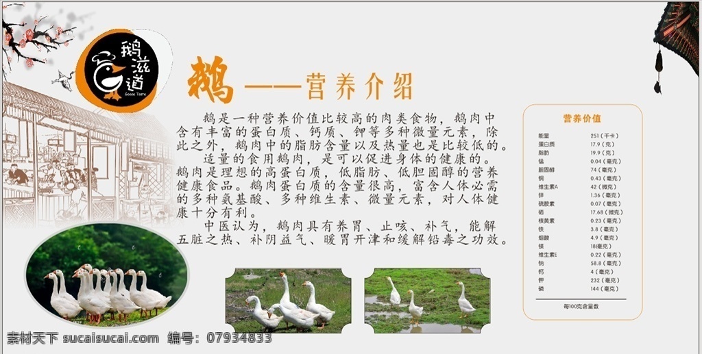 鹅营养价值 鹅文化介绍 鹅 微量元素 梅花 海报 中国风 logo 水墨画
