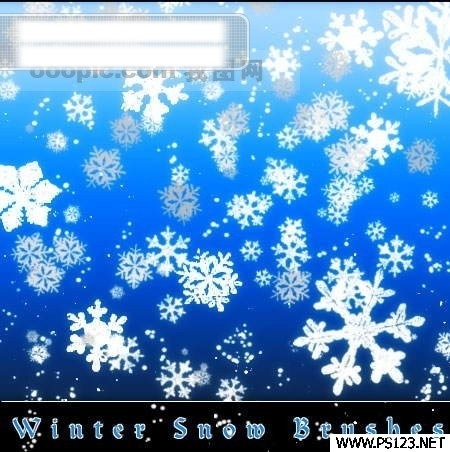 雪花 笔刷 雪花笔刷 psd源文件