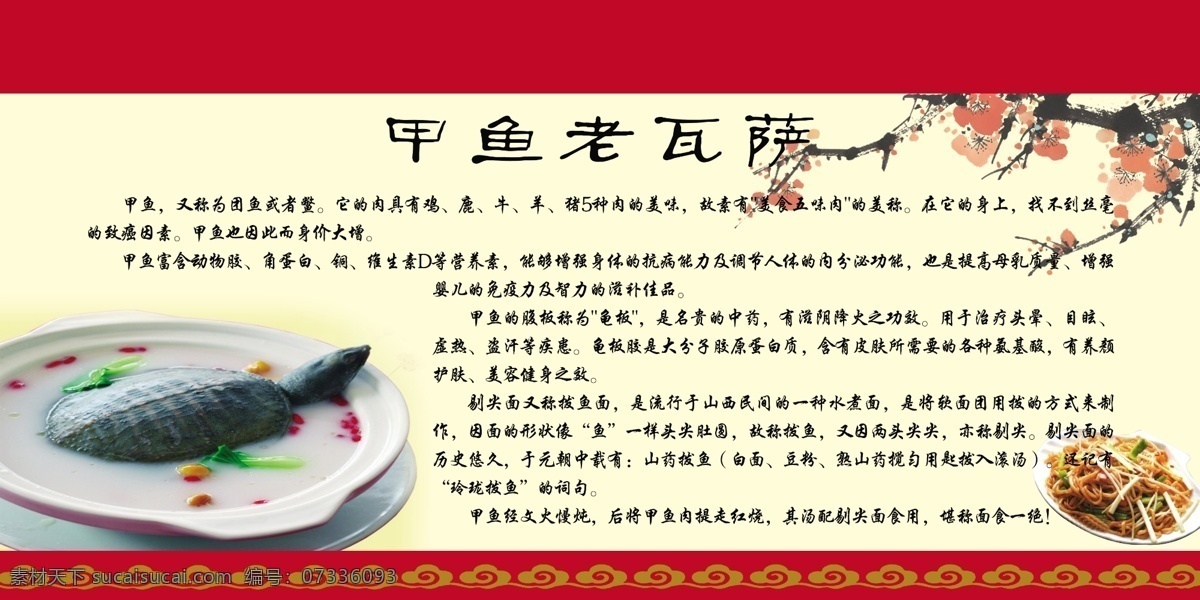 甲鱼 又称为团鱼 鳖 白色