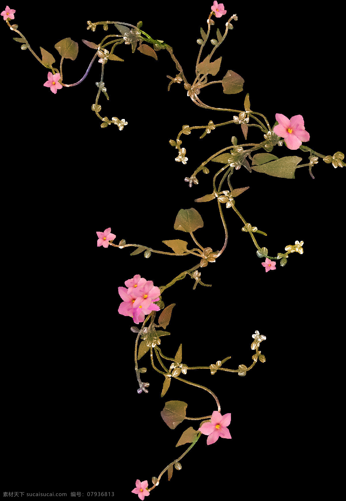 卡通 粉色 花朵 叶子 元素 png元素 免抠元素 透明素材 植物