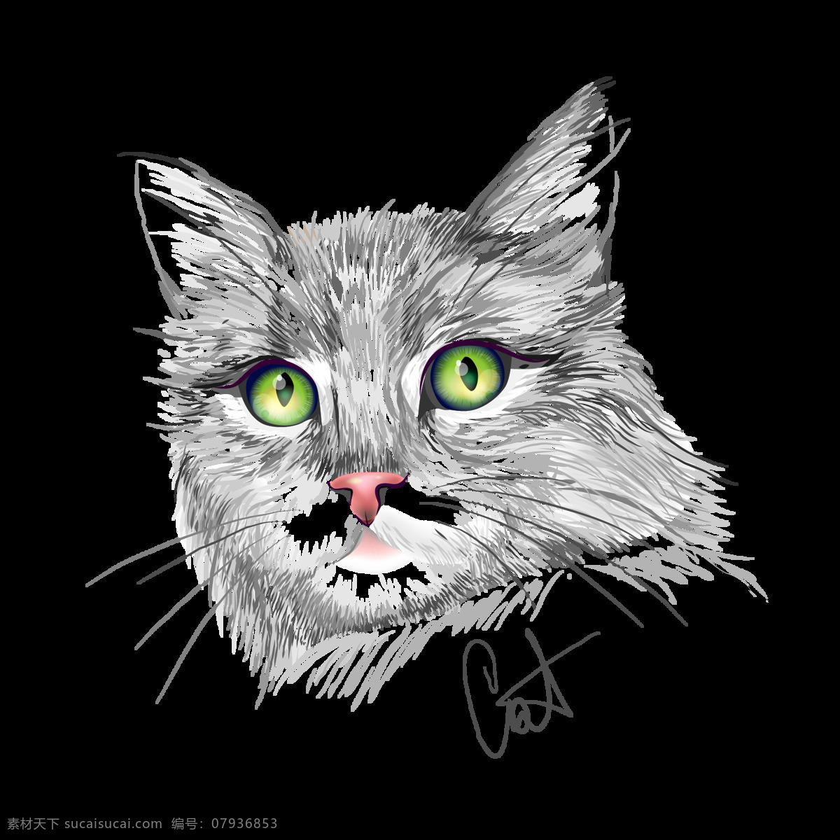 手绘 线条 猫咪 插画 动物元素 卡通动物 可爱猫咪 猫 猫咪png 萌 喵星人 玩耍猫咪 线条画 小猫