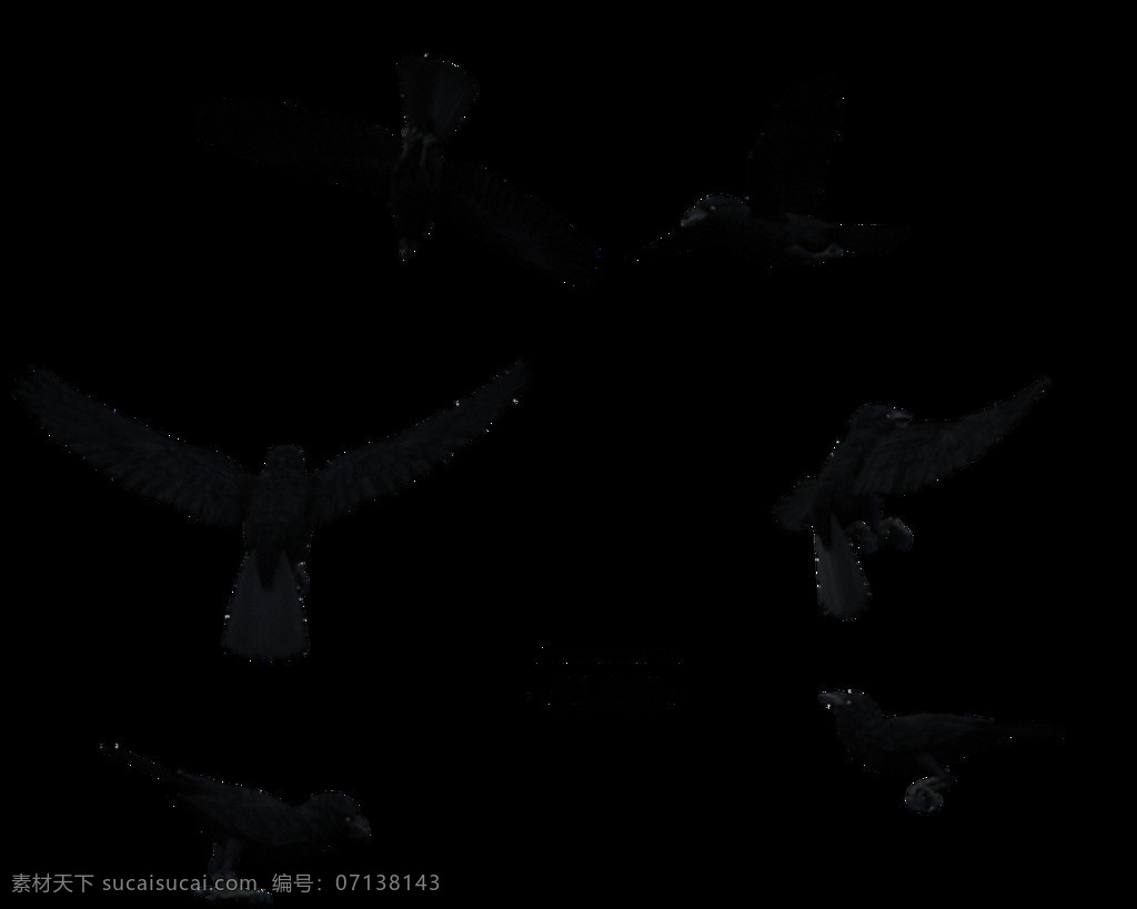 六 种 姿态 乌鸦 免 抠 透明 六种姿态乌鸦 卡通乌鸦图片 乌鸦简笔画 黑暗系乌鸦 小 卡通 大嘴乌鸦 动漫乌鸦 黑暗乌鸦 黑色乌鸦照片 乌鸦图片素材 飞翔的乌鸦