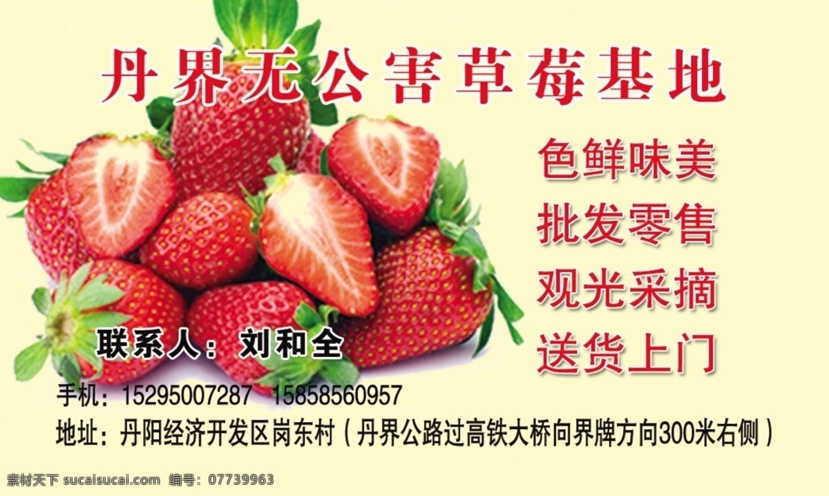 草莓名片 草莓 名片 高档 上门 展板 名片卡片