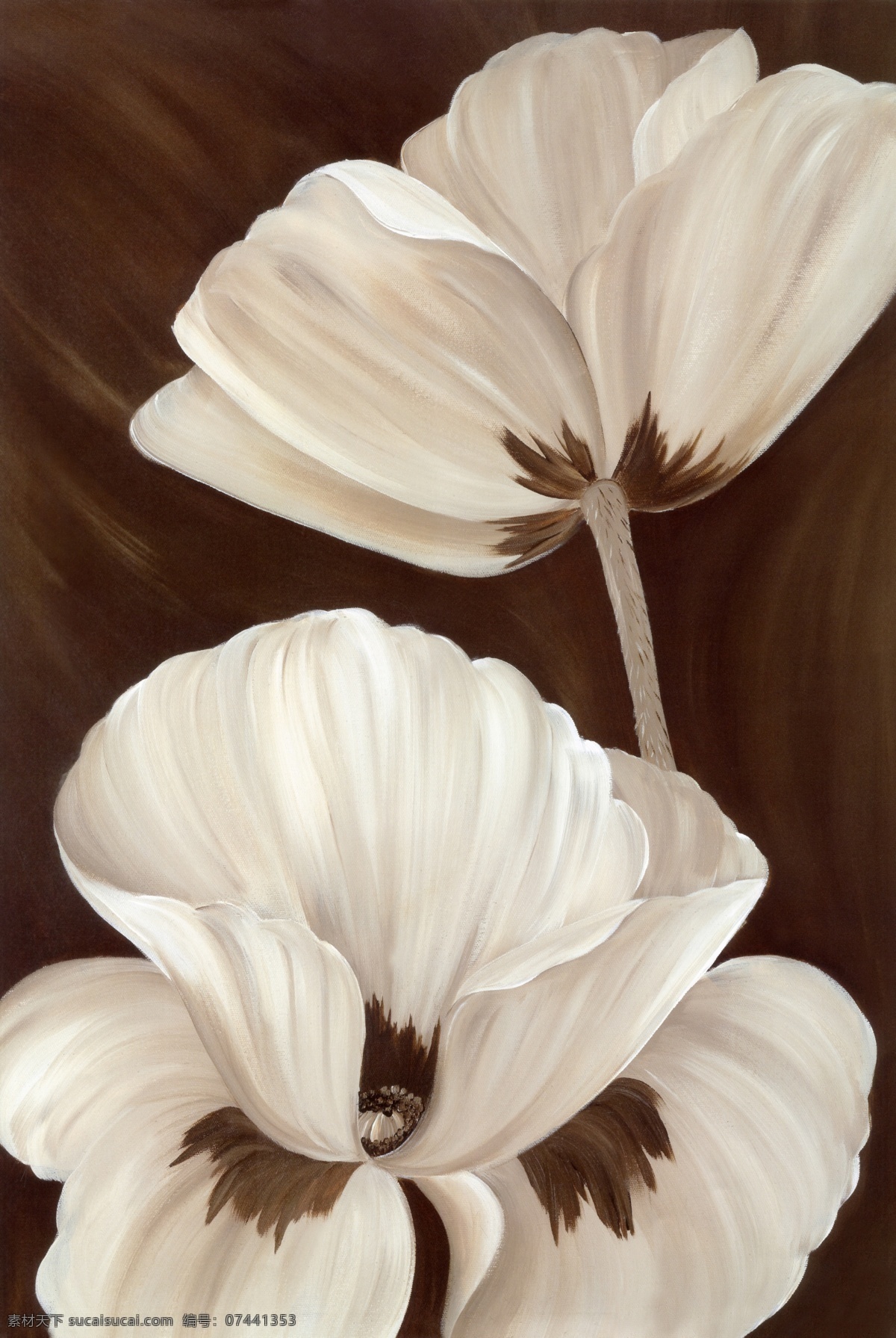 油画 白色的花 纯洁 美丽 壁画 橱窗 壁纸 自然景观 自然风光