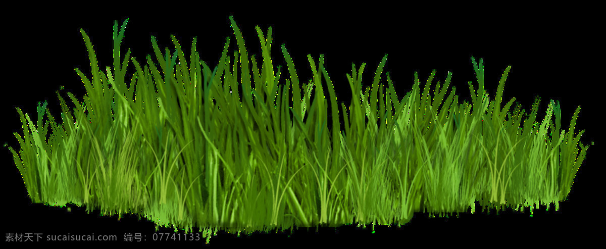 嫩绿 小草 透明 海报设计装饰 抠图专用 设计素材 淘宝素材 透明素材 装饰 装饰图案