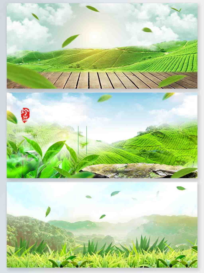 绿叶 茶山 茶园 海报 背景 绿色 清新 海报背景 木板 春天 白云