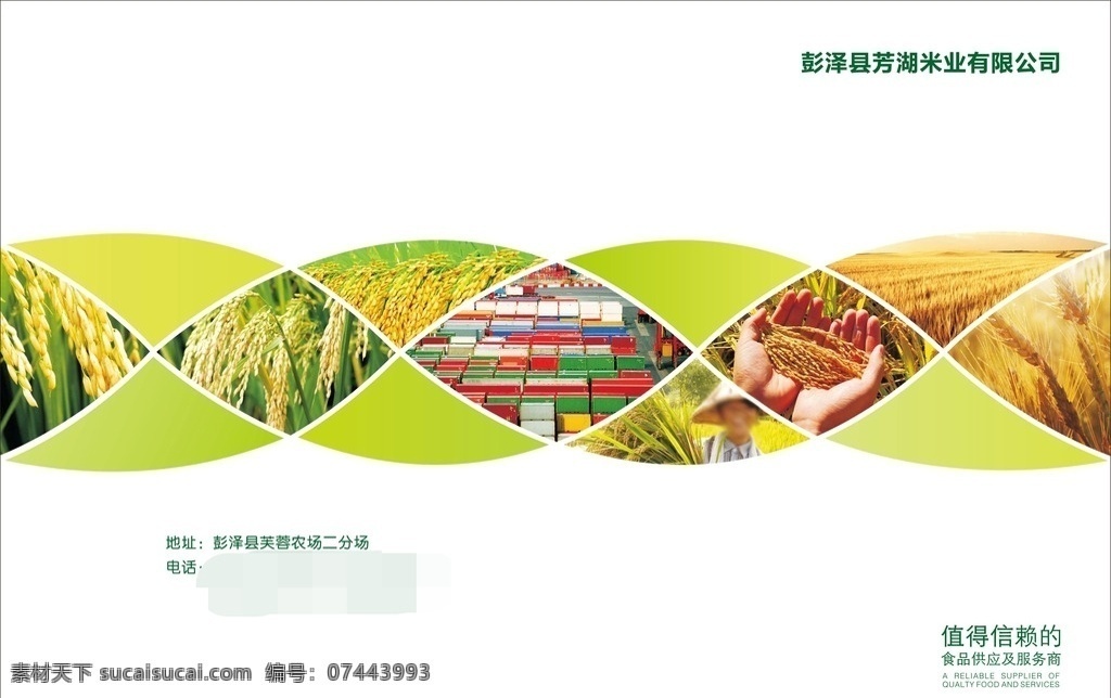 米业画册 粮食 水稻 米业 画册 宣传册 大米 加工 工厂 画册设计