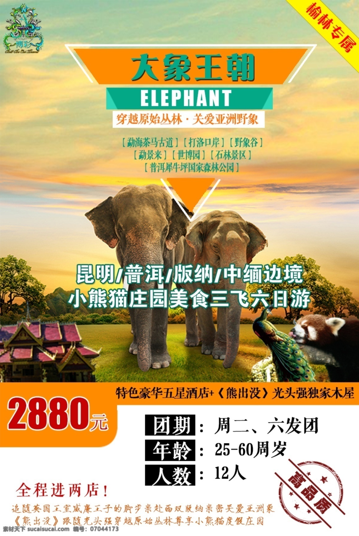 九五至尊 大象王朝 西双版纳 大象 昆明 小熊猫庄园 旅游 云南 白色