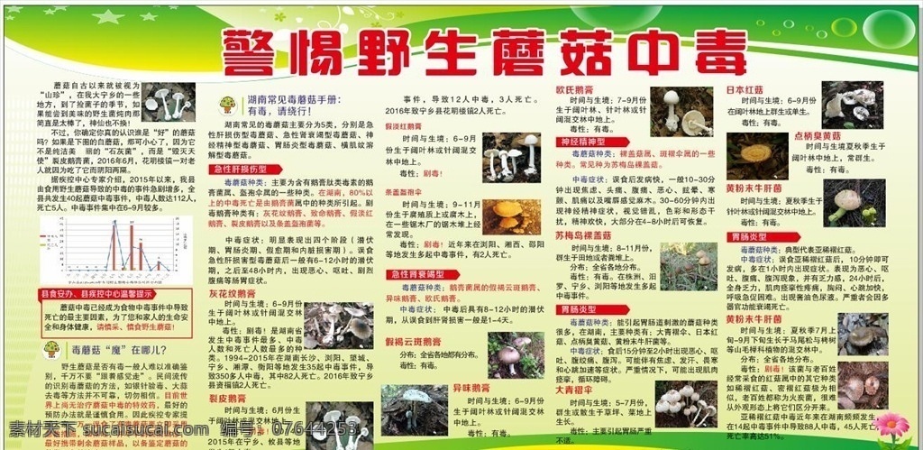 警惕 野生 蘑菇 中毒 墅生 蘑菇知识 蘑菇中毒 野生蘑菇中毒 蘑菇中毒防治 医院 宣传栏 健康 妇幼 健 教 展板模板