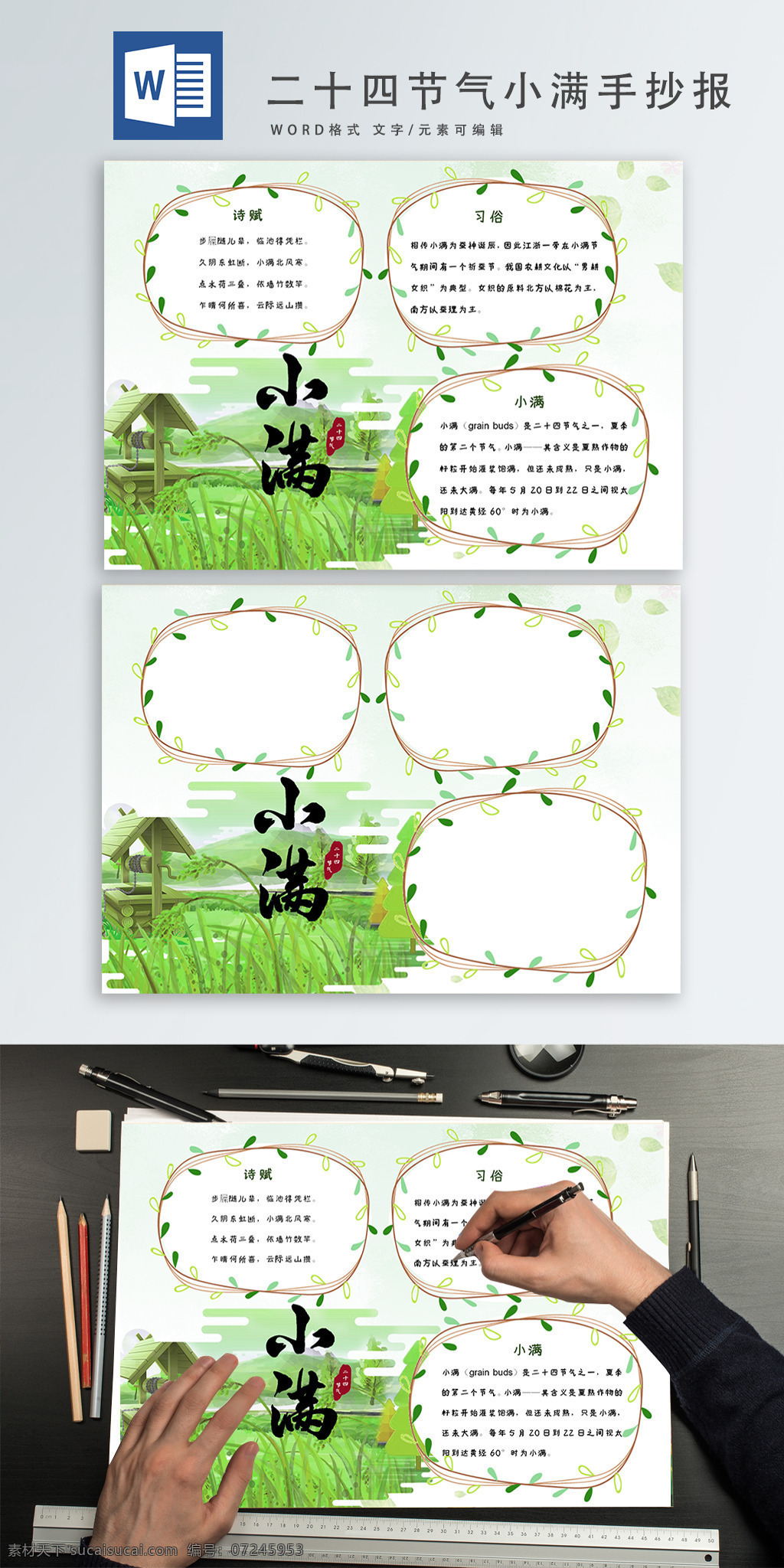 二十四节气 小满 手 抄报 手抄报 小清新 绿色
