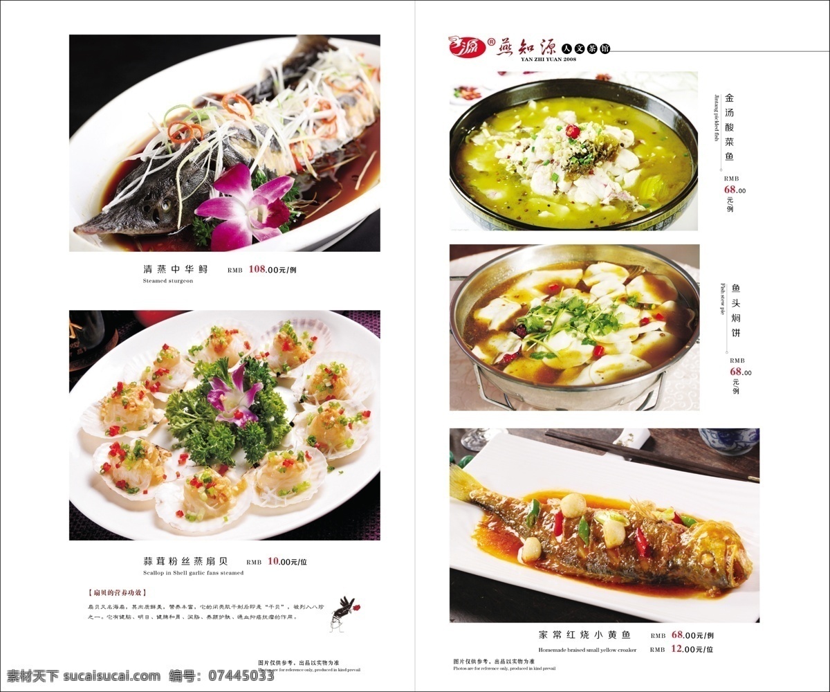 菜谱设计 时尚菜单 高档菜普 菜单 菜谱 菜单菜谱