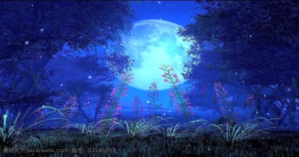 月夜 月 自然 野外 动画 led 合成背景素材 影视编辑 多媒体 mov
