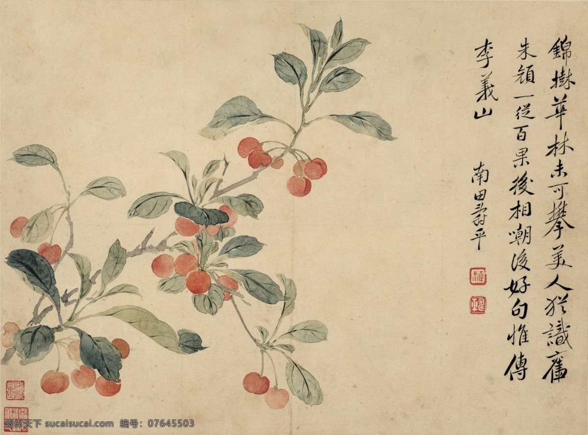 华嵒画 国画 工笔画 写意画 花 红花 古风 文化艺术 绘画书法