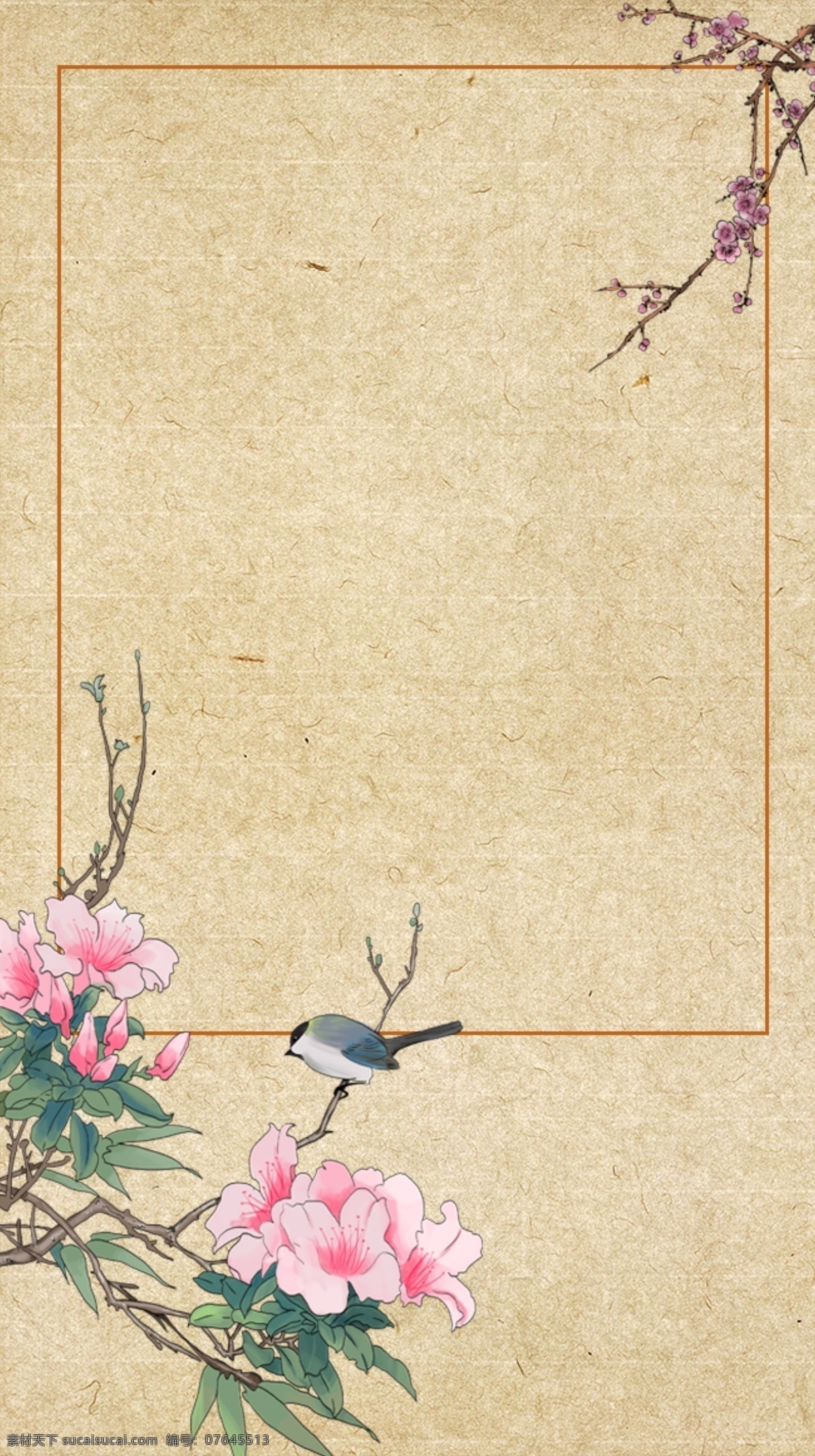 古风 工笔画 花叶 背景 图 荷花 花蝶 工笔画花 圆形 构图 菱形 中国风 宣纸纸纹 做旧背景图 泛黄宣纸