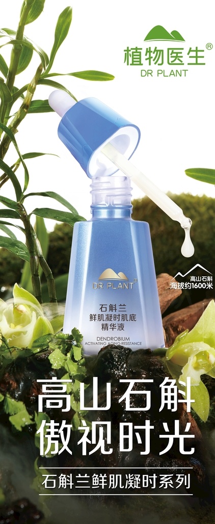 植物医生美容 公益大使 高山石斛 傲视时光 高山植物 高山仙草 产品 logo 分层