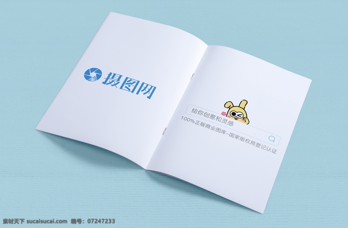 杂志画册样机 杂志 样机 画册 册子 画册封面 书籍