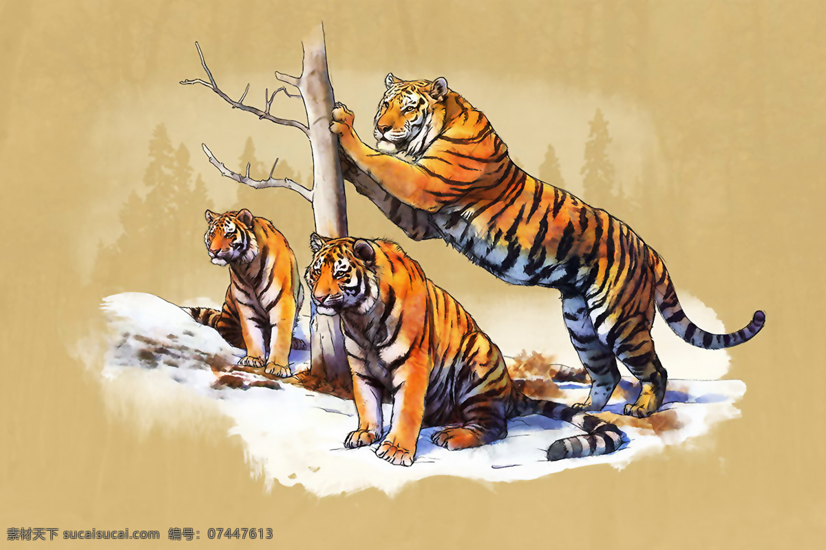 动物插画 老虎 老虎插画 猛虎 插画漫画 文化艺术 绘画书法