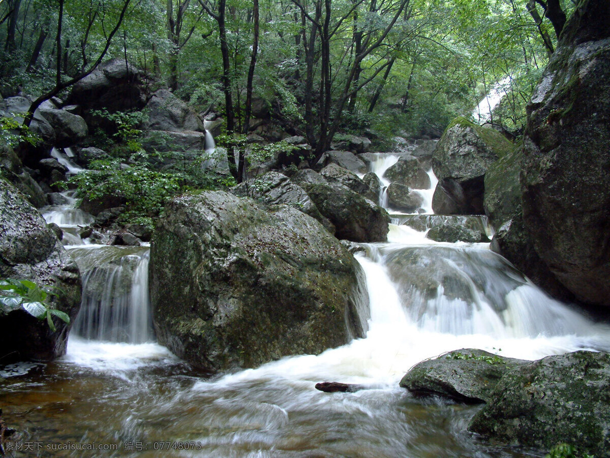 河流 小溪 树林 原始森林 水 石头 嵩县风景 自然风景 自然景观