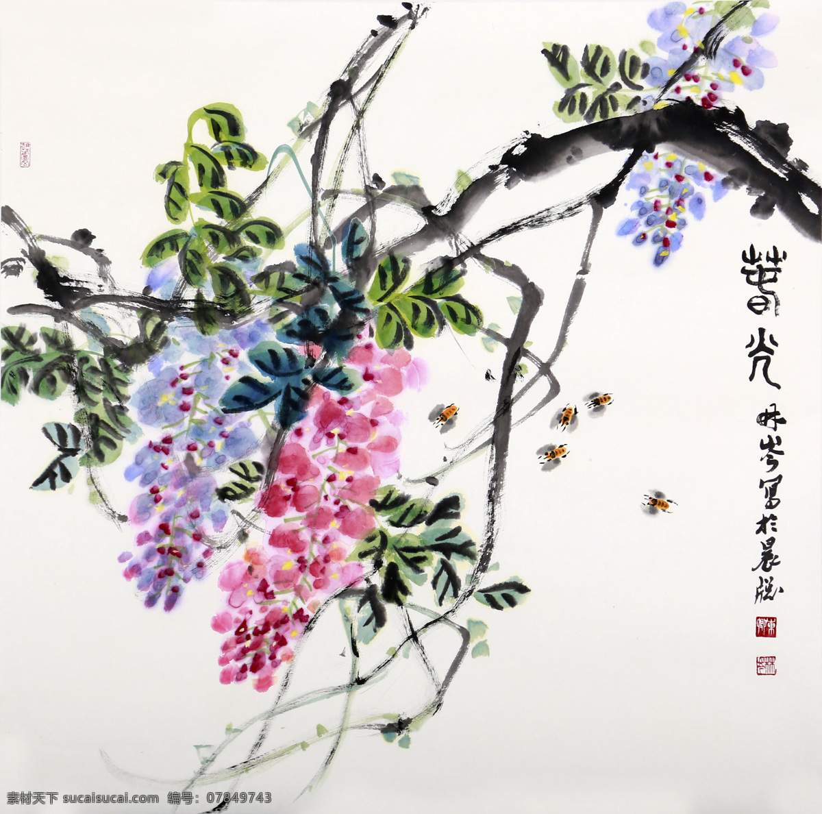 紫藤花开 水墨 紫藤花 丹青 国画 白色