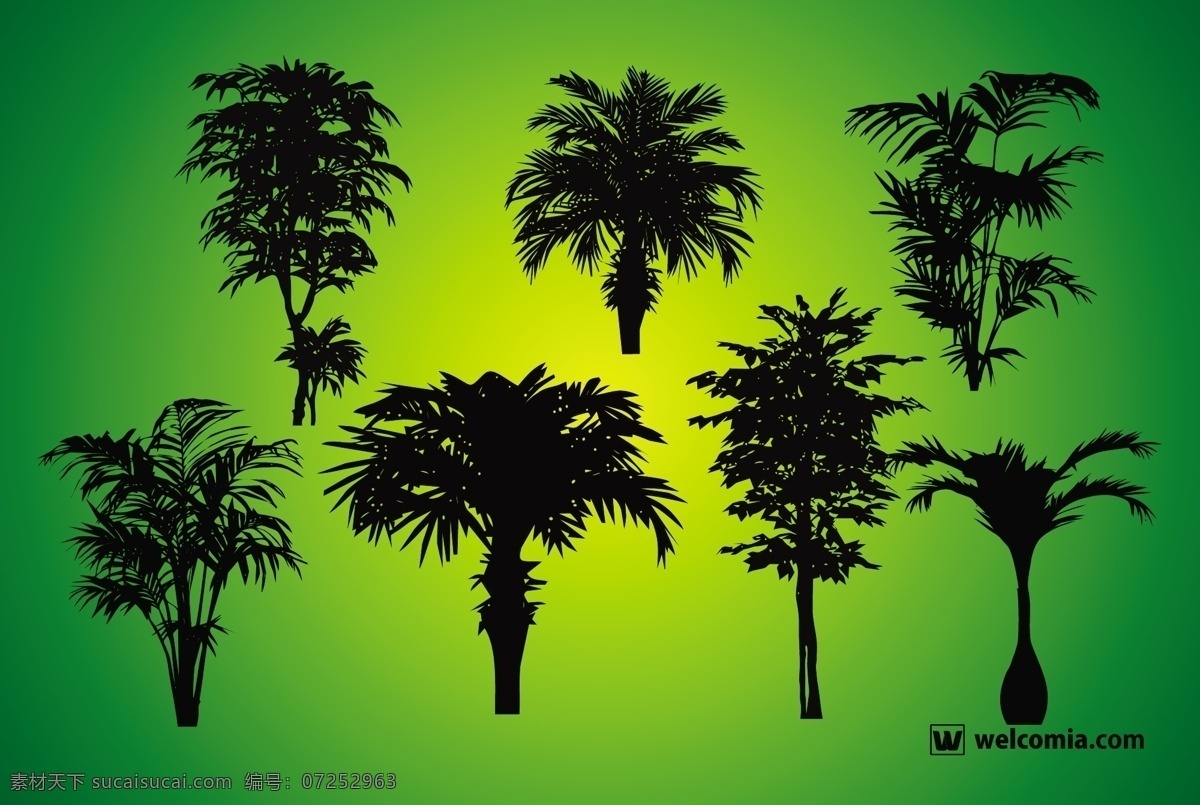 植物的剪影 绿色