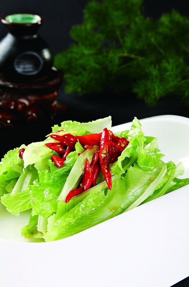 浙 菜 爽口 生 菜心 川菜 鲁菜 粤菜 苏菜 浙菜 闽菜 湘菜 徽菜 沪菜 东北菜 清真菜 新疆菜 豫菜 广东菜 山东菜 北京菜 鄂菜 炒菜 家常菜 特色菜 热菜 美食 美味 八大菜系 汤羹 菜谱 菜名 小炒 炒饭 烧菜 凉菜 菜肴 小吃 锅仔 烧烤 油炸 红烧 爆炒 清蒸 油焖 海鲜 刺身 主食 副食 米饭 面条 点心 餐饮美食 传统美食