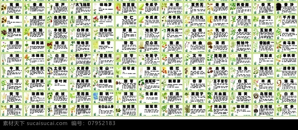 中药名称 中药名及功效 生物世界 花草 矢量图库