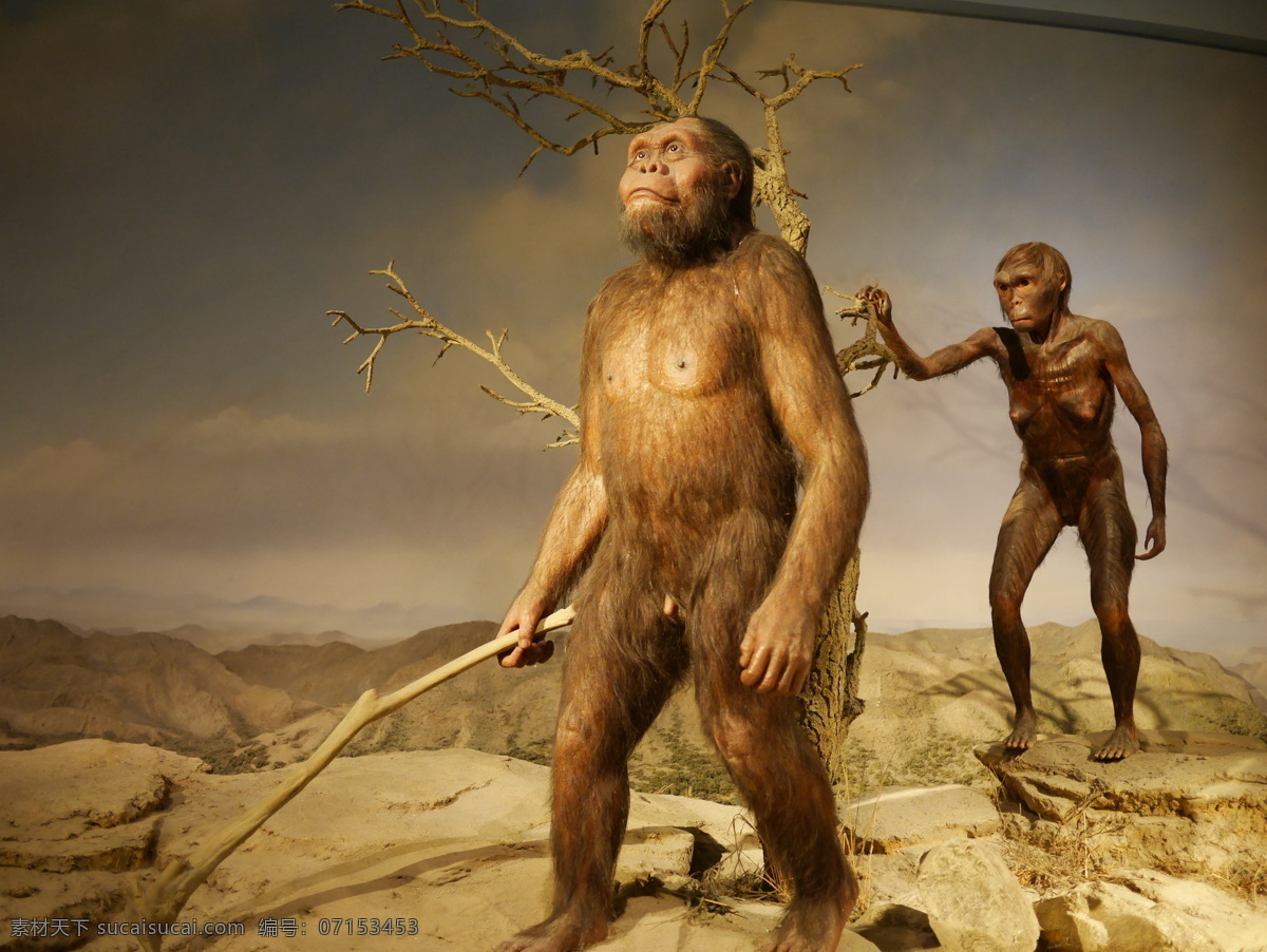 人猿 史前人猿 原始人 人猿模型 原始人场景 原住民 史前人类 原始生活 文化艺术
