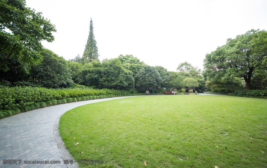 草地图片 草地 草丛 蓝天白云 绿草地 绿地 草原 草坪 草的特写 特写 庄园 平原 草 公园 球场 青春 田野绿地 自然景观 自然风景