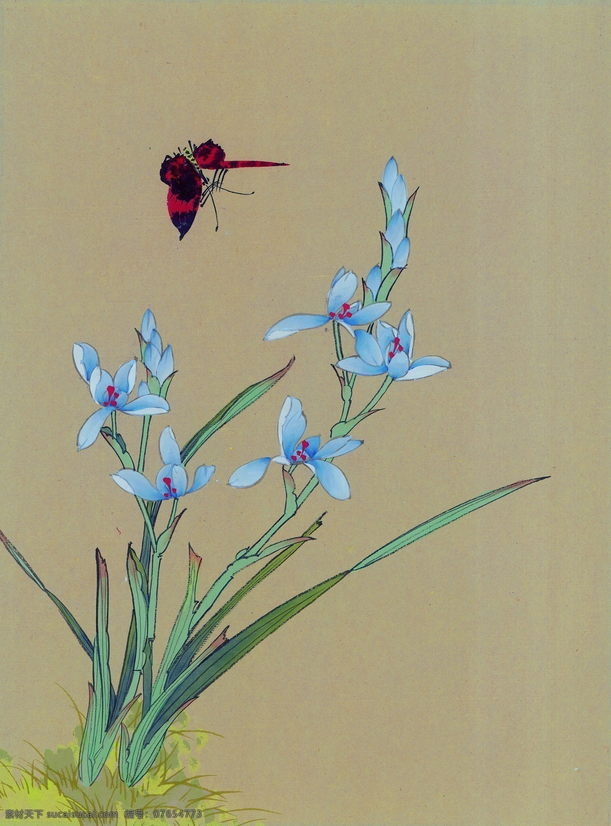 花鸟 国画 花 文化艺术