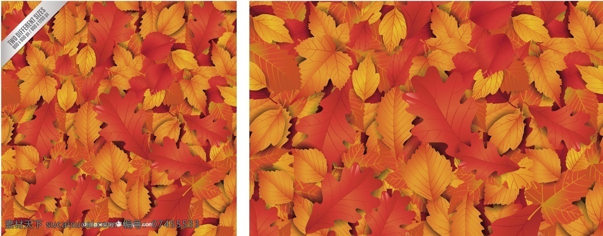 红叶背景 背景 抽象 自然 秋季 橙色 性质 秋天 树叶 植物 植被 图标 高清 源文件