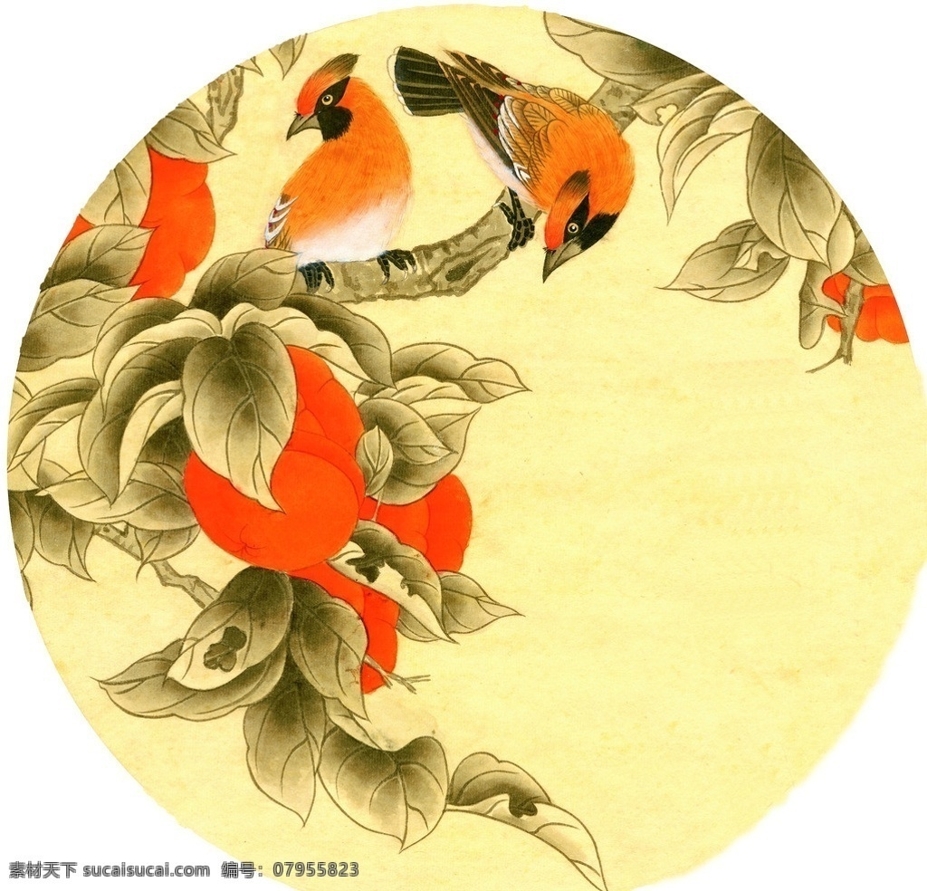 柿出 国画 工笔 色彩 鸟 高清国画 绘画书法 文化艺术