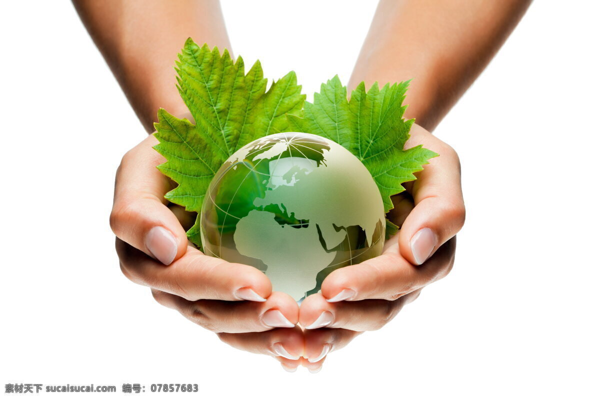 创意 地球 环保 高清 创意地球 小地球 绿叶 树叶