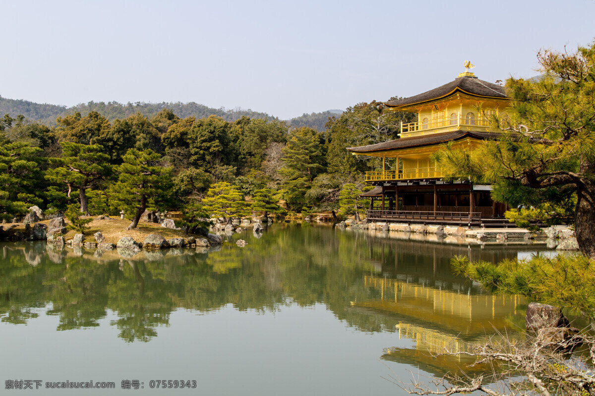 日本金阁寺 日本旅游 自由行 日本 金阁寺 国外旅游 旅游摄影