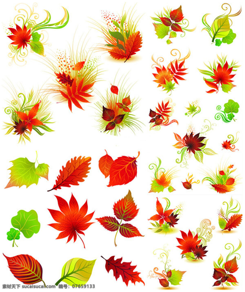 精美 红叶 矢量 矢量植物 叶子 秋天 枫叶 叶脉花纹 图案 植物 秋季 落叶 秋叶 彩带 秋果 绿叶 黄叶 白色