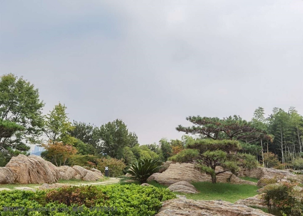 公园一角图片 公园 植物 绿色 岩石 蓝天 自然景观 自然风景