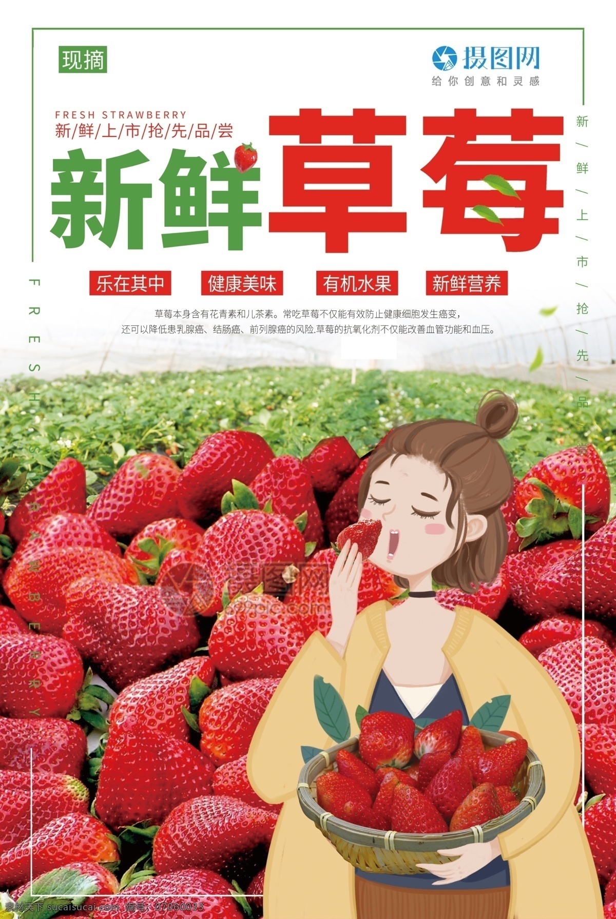 采摘 新鲜 草莓 海报 采摘草莓 水果 新鲜水果 草莓季 插画 卡通 简约 新鲜草莓 草莓海报 美食 水果海报