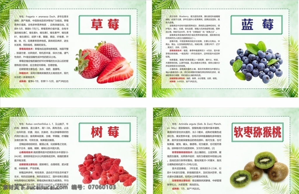 水果介绍 草莓 蓝莓 树莓 猕猴桃 水果 绿色水果 有机水果 绿色食品 无公害 营销策划 果子 果实 瓜 美食 健康食品 西瓜 苹果 榴莲 橙子 农业 特产
